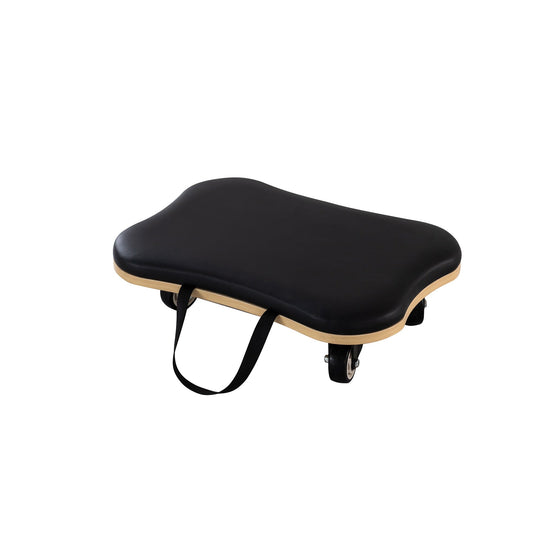 LEAP SPORTS Pilates Balance Board Roller